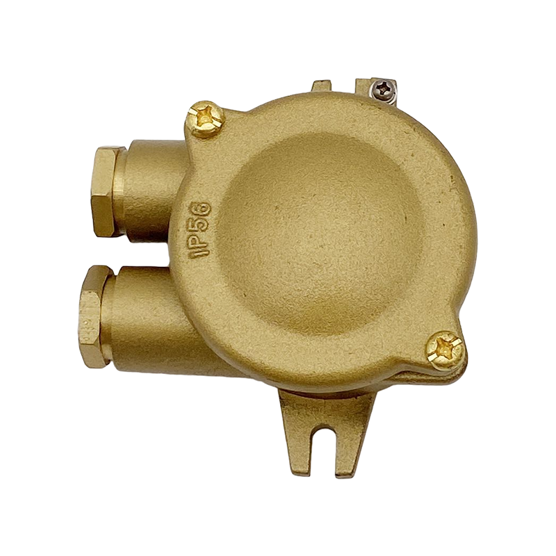 Palen Kunststof Stofdichte Behuizing Elektrisch Draad-JXH202